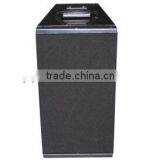Small Size High Power Neodymium Dual 10 Inch Line Array