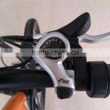 Flyer,New Design!china 36v 8ah Battery Electric Bicycle thumbnail-6