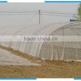 agricultural anti insect net