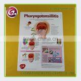 Latest Style Hanging Charts