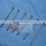 Polished Common Nail thumbnail-1