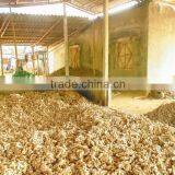 Excellent Quality Ginger From Viet Nam 2014 - 2015 thumbnail-1