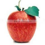 [super Deal] Fresh Sweet Apples thumbnail-1