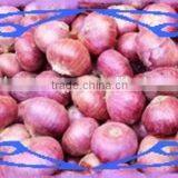 Red Onion