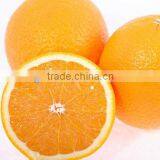 Yellow Navel Orange For Germany/UK Market