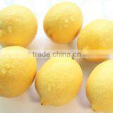 Fresh citrus fruit china yellow eureka fresh lemon