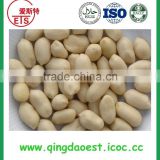 Groundnut peeled peanut on sale with quality and price
