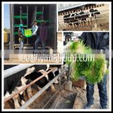 High germination rate fodder growing machine