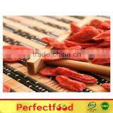 Dried Red Medlar Berry thumbnail-2