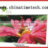 China Best Price Laptop Lcd Screen Panel N184H4 L01 thumbnail-1
