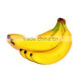 Agriculture Chemical 85% TC Ethephon thumbnail-6