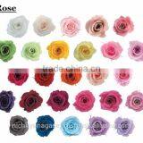 Pretty and Beautiful Big Rose Flower Preserved Flowers for Flower Arrangement , Arrangement Materials Also Available thumbnail-2