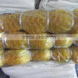 Shrimp Sale of Fishing Net thumbnail-1