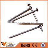 Good Quality 2 Inch Bright Finished Decorative Wood Nails for Wood thumbnail-2