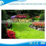 Backyard Synthetic Grass Landscaping 30mm Artificial Grass