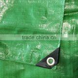 Doyue Tarp , Green pe Tarpaulin , Waterproof Tarpaulin Lona thumbnail-3