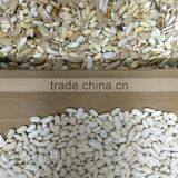Grain Color Sorter for Sorting Different Coarse Cereals thumbnail-4