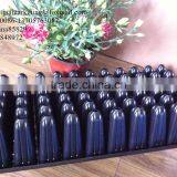 China High Quality Deep Root PS Material Plastic Forest Nursery Seed Starting Tray for Tree Propagation thumbnail-4