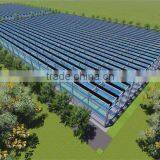 Full Automatic Venlo Type Greenhouse Used For Agicultural Planting thumbnail-5