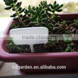 Hot Sale Colored Plastic Plant Marker Tag Wholesale thumbnail-2