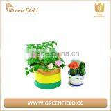 Mini Reusable Fabric Grow Bag Canvas Plant Bags thumbnail-1