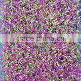 2017newest Design Artificial Mat Interior Decor Color Plastic Boxwood thumbnail-2