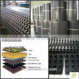 Underground Waterproof Plastic Drainage Sheet Dimple Drainage Board thumbnail-2