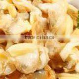 Yellow Clam thumbnail-1