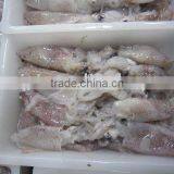 Frozen Squid (NEW) thumbnail-1