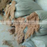Dehaired Camel Hair,MC2,MC7,MC10 thumbnail-1