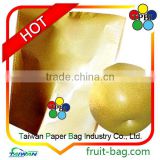 pears fruit cover protection bag protective coating double layer bag