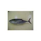 Sell Fresh Yellow Fin Tuna (United Kingdom) thumbnail-1