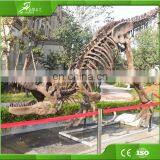 KAWAH Fiberglass Aniaml Replica Skull Popular Resin Life-size Skeleton Dinosaur Model For Sale thumbnail-3