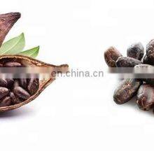 Best Price Low Broken Rate Coco Shelling Machine Cocoa Bean Peeling Machine thumbnail-5