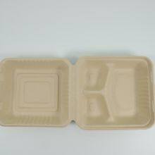 Disposable Lunch Box Salad Box Burger Box