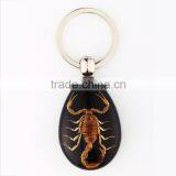 Real Insect Keychain With Scorpion thumbnail-4