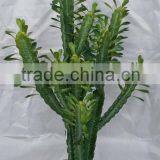 2014 New Design Artificial Plants and Trees /artificial Ornamental Plants /cheap Artificial Plants