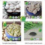 f1 Watermelon Seed Chinese Melon Seeds f1 thumbnail-4