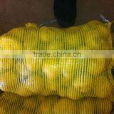 Sell 2013 Fresh Holland Potato thumbnail-1