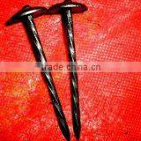 Kenya Market Umbrella Head Galvanzied and Twisted Shank Roofing Nails thumbnail-4