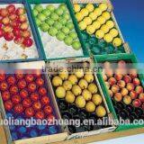23x38cm/39x59cm Wholesale Food Packaging Containers