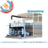 CHINA TOP1 Plate Ice Machine Plate Ice Making System Plate Ice Plant for Fishery Southeast Aisa