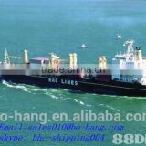 cheap ocean freight Christmas camera from china to usa/canada --website :bhc-shipping004