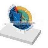 Cut Section Viscous Fan Clutch Teaching Equipment thumbnail-1