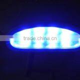 Professional Dental Use Blue Led Light Teeth Whitening Device thumbnail-5