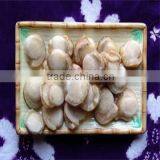 Frozen Boiled Sea Scallops Meat ( Roe Off) thumbnail-1