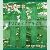 Chinese Seeds High Quality Luffa Seeds ,black Seeds