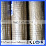 3 feet 12mm x 12mm welded Galvanized/Stainless Steel Wire Mesh (Guangzhou factory)