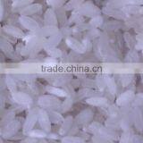 Artificial Rice Production Line thumbnail-5