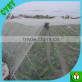 HDPE Plastic Anti Vegetable Insect Mask Net Price thumbnail-4